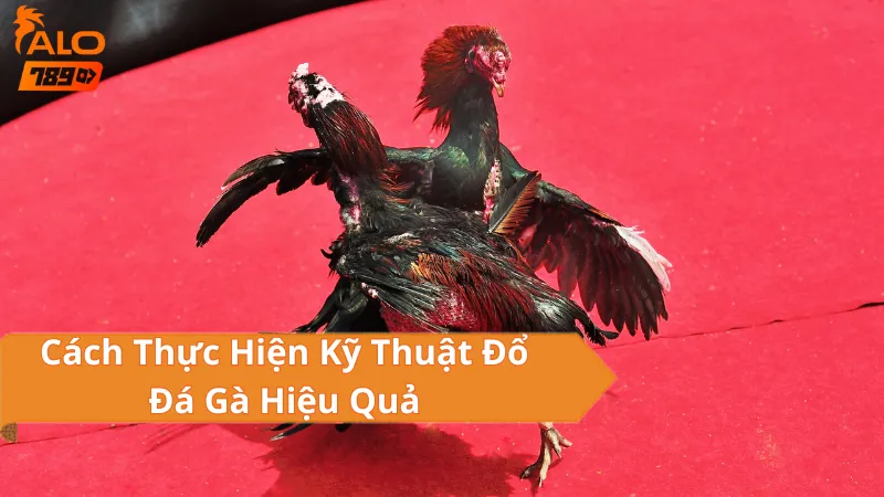 Cách Thực Hiện Kỹ Thuật Đổ Đá Gà Hiệu Quả
