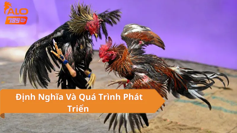 Sức Hút Của Đá Gà Mạng